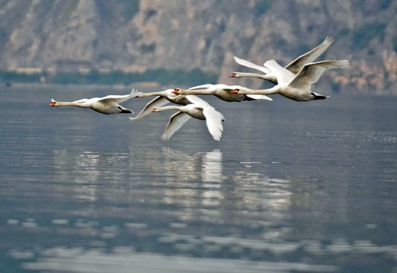 ריבה די סולטו Castello Di Zorzino Iseo Lake ריבה די סולטו